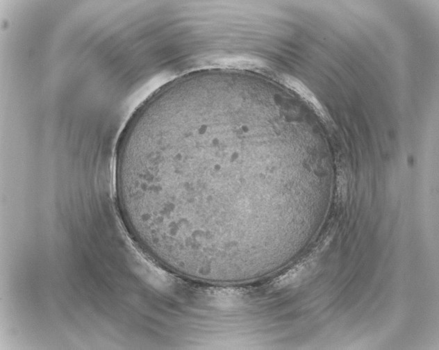 X0000087681079200705251638