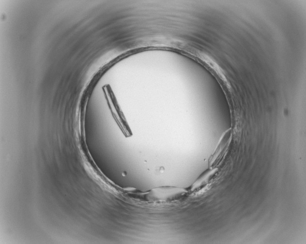 X0000087681080200705251638