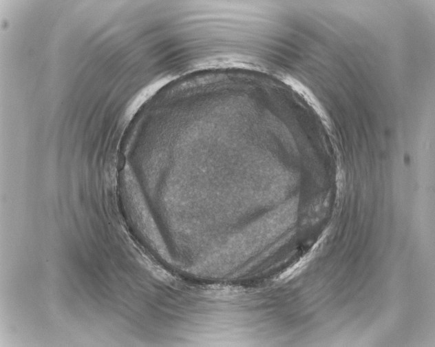 X0000087681081200705251638