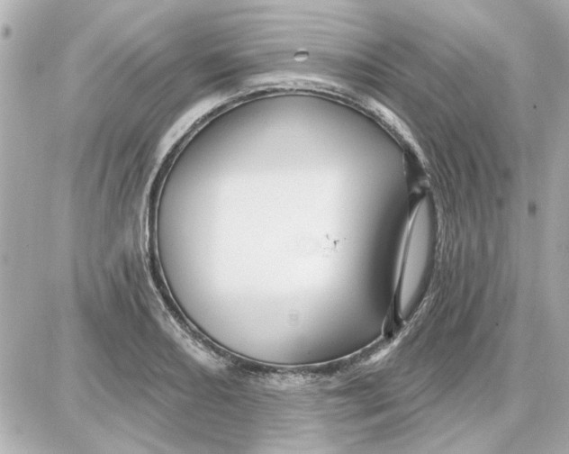 X0000087681082200705251638