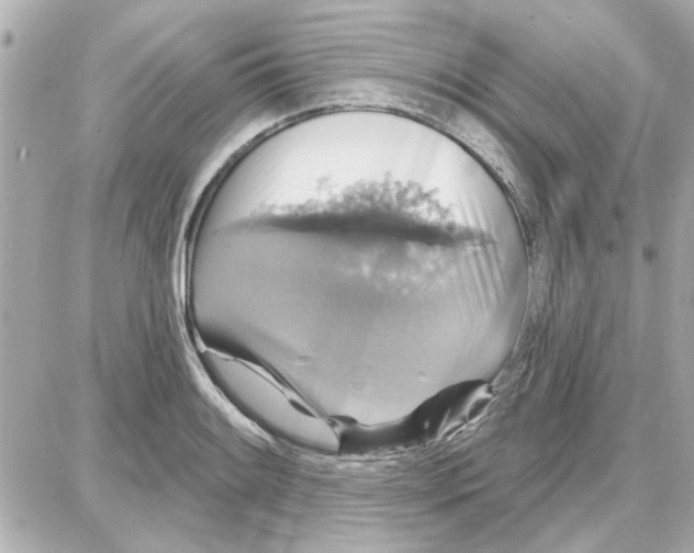 X0000087681084200705251638