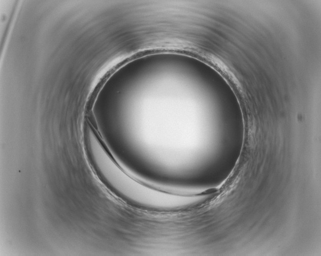 X0000087681085200705251638