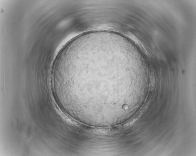 X0000087681086200705251638