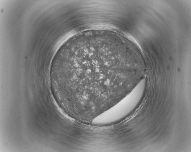 X0000087681087200705251638