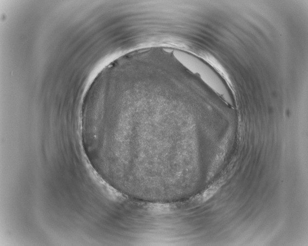 X0000087681088200705251638