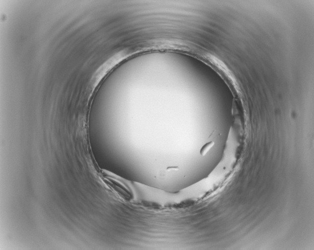 X0000087681089200705251638