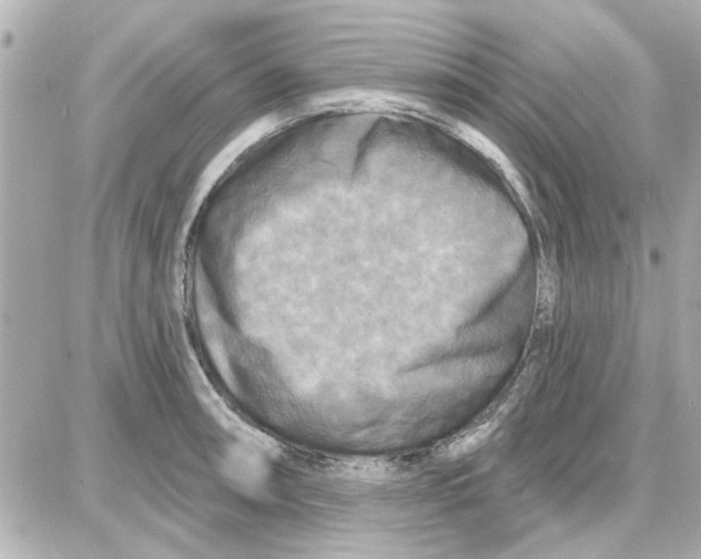 X0000087681090200705251638