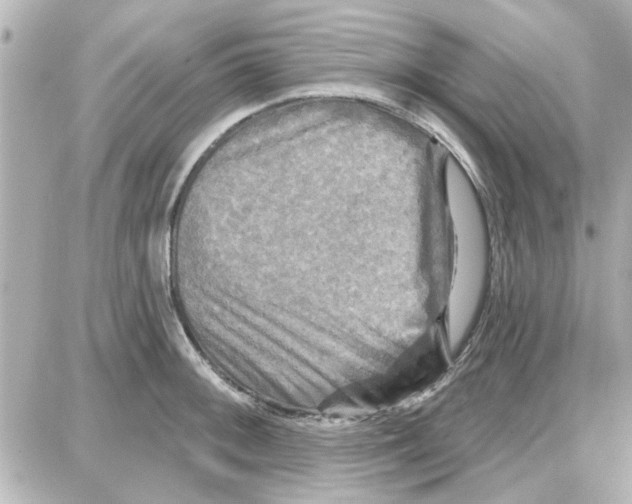 X0000087681092200705251638