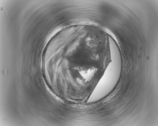 X0000087681095200705251637