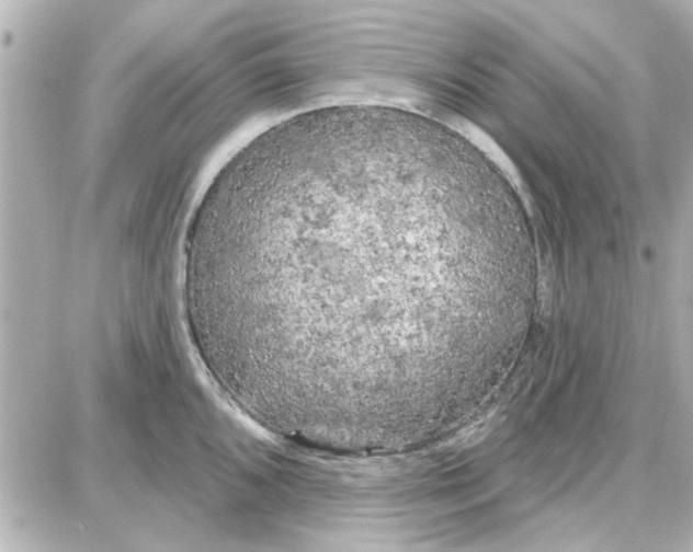 X0000087681096200705251637