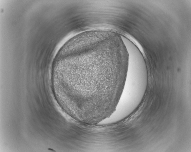 X0000087681099200705251637