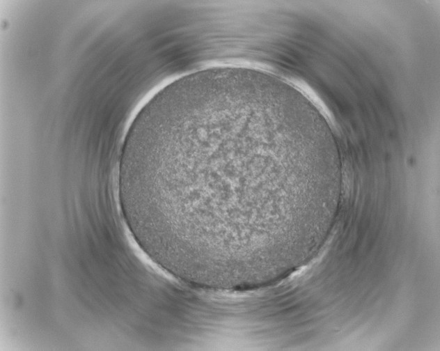 X0000087681100200705251637