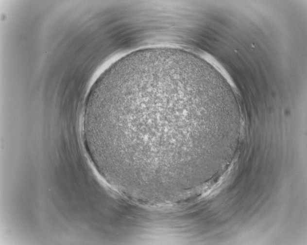 X0000087681101200705251637