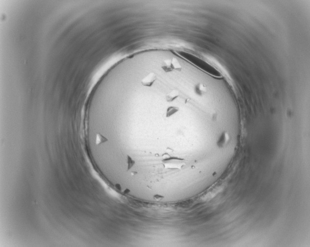 X0000087681103200705251637