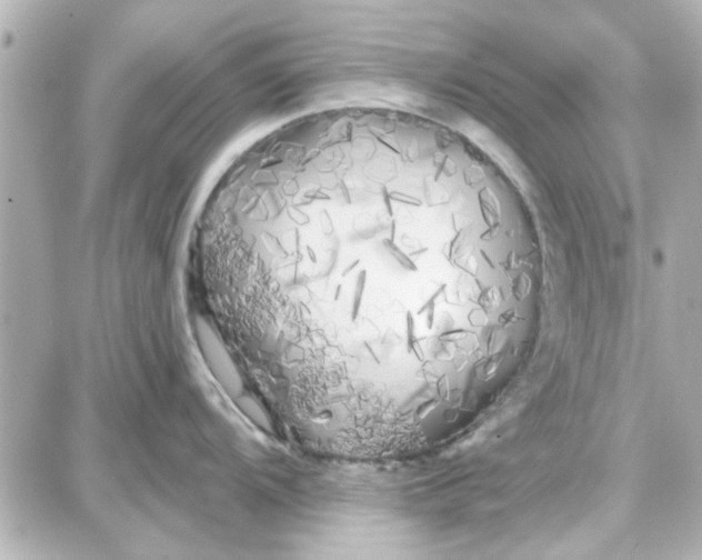 X0000087681104200705251637