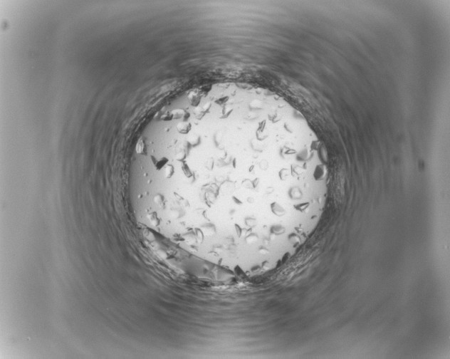 X0000087681105200705251637