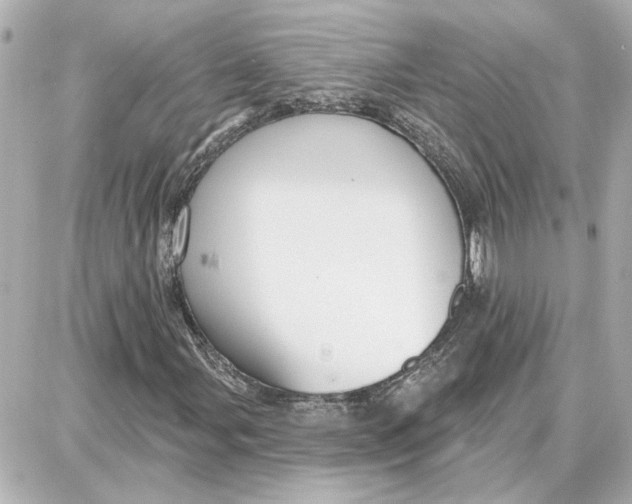 X0000087681107200705251637