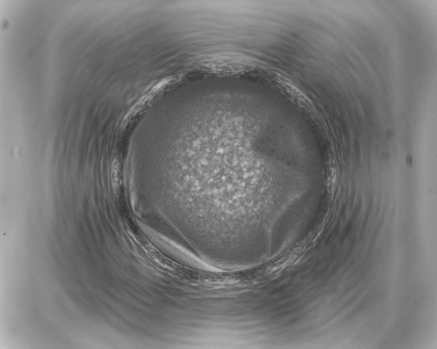 X0000087681108200705251637