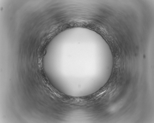 X0000087681109200705251637