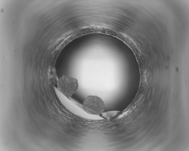 X0000087681110200705251637