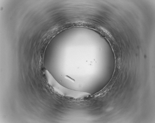 X0000087681111200705251637