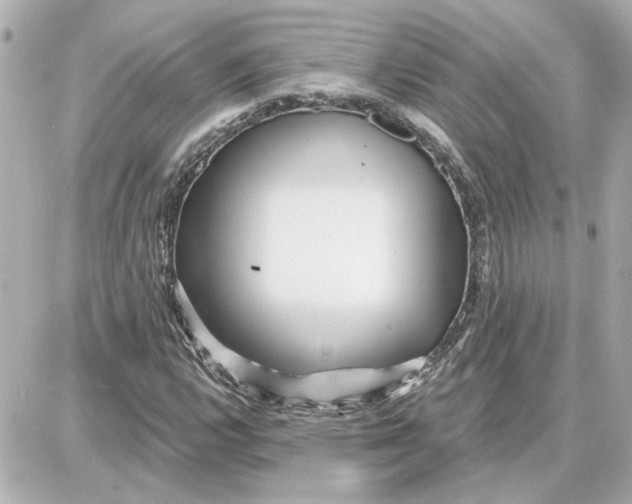 X0000087681112200705251637