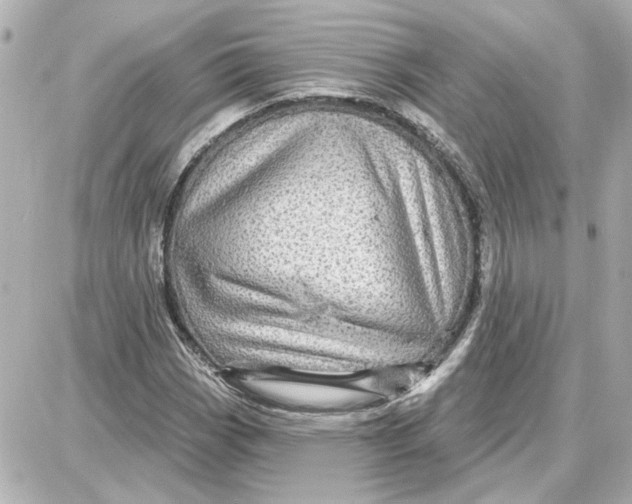 X0000087681113200705251637