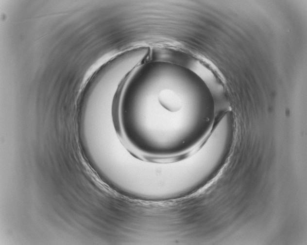 X0000087681114200705251637