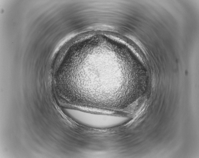 X0000087681115200705251637