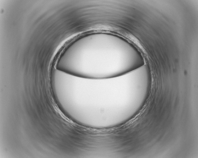 X0000087681116200705251637