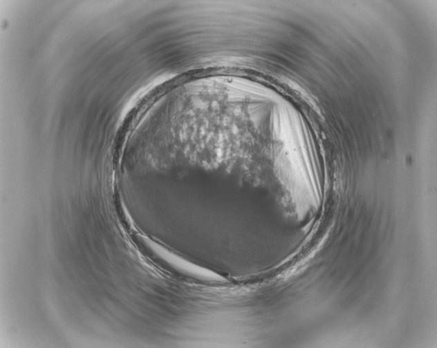 X0000087681117200705251637