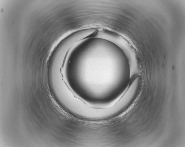 X0000087681118200705251637