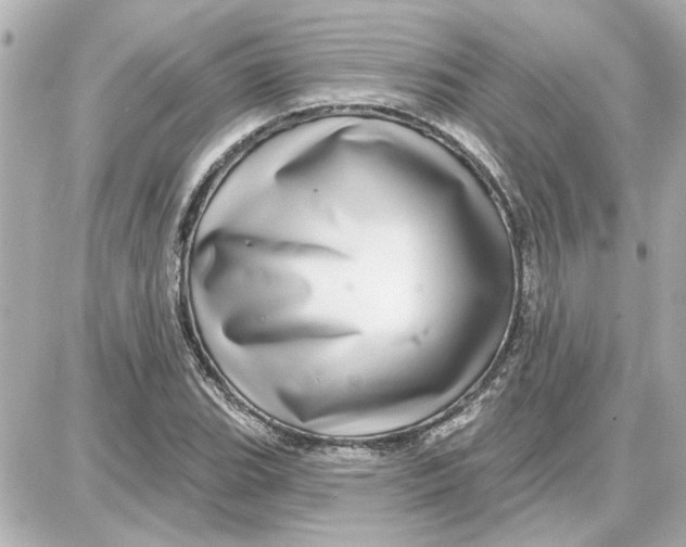 X0000087681119200705251637