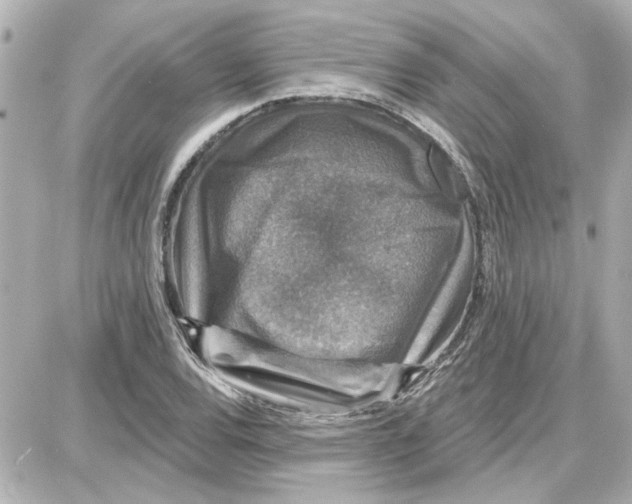 X0000087681120200705251637