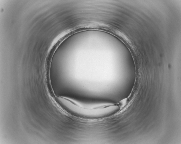 X0000087681122200705251637