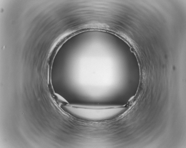 X0000087681123200705251637