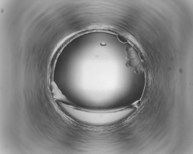 X0000087681124200705251637