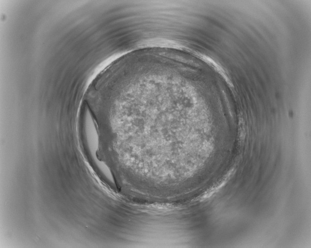 X0000087681125200705251637