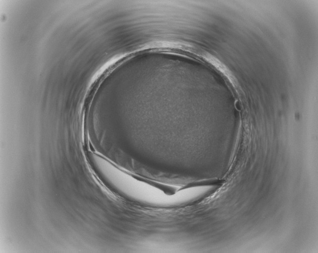 X0000087681127200705251637