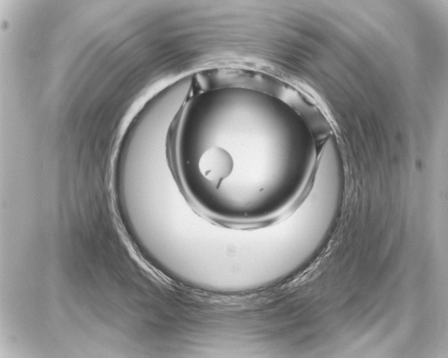 X0000087681128200705251637