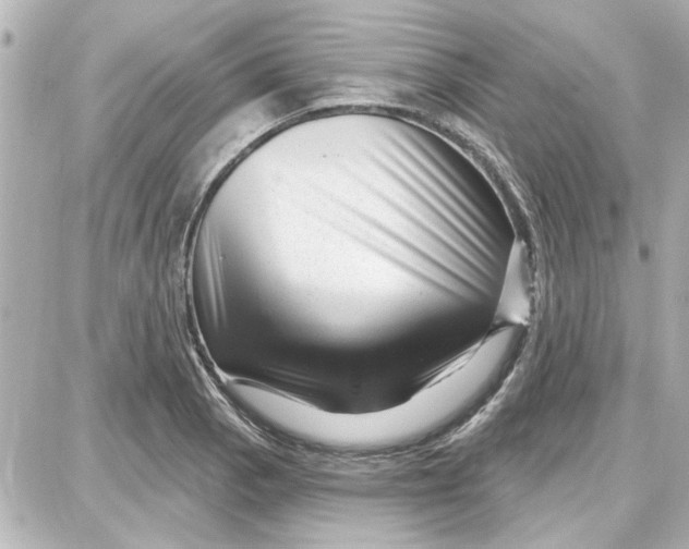 X0000087681129200705251637