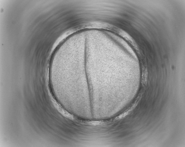 X0000087681130200705251637