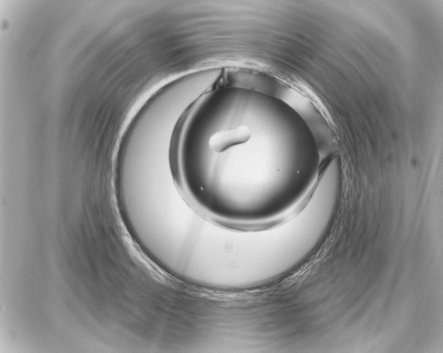 X0000087681132200705251637