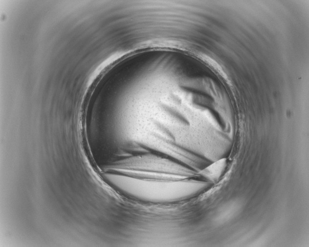 X0000087681133200705251637