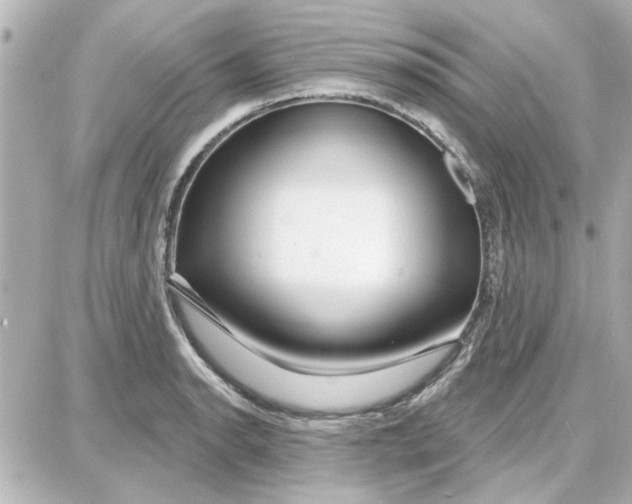 X0000087681134200705251637