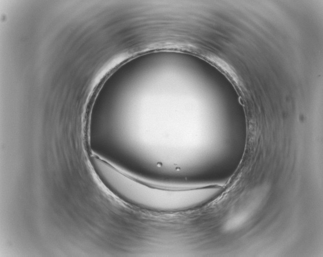 X0000087681135200705251637