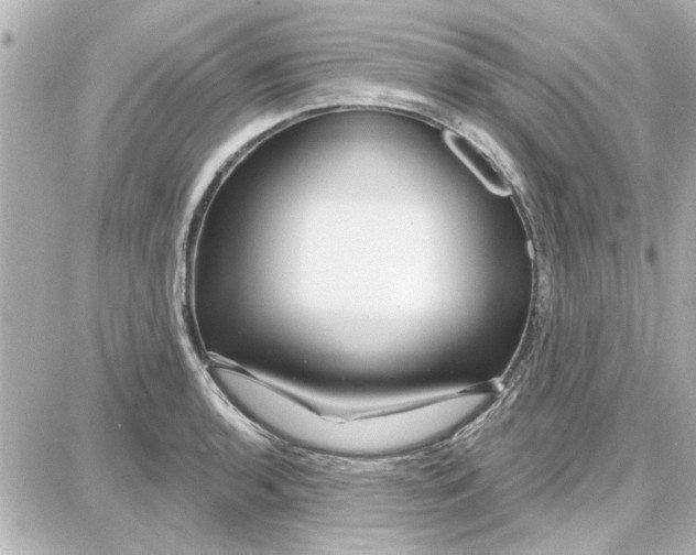 X0000087681136200705251637