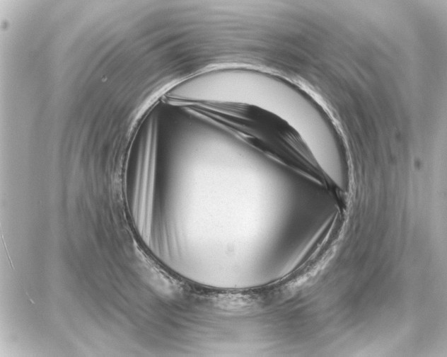 X0000087681137200705251637