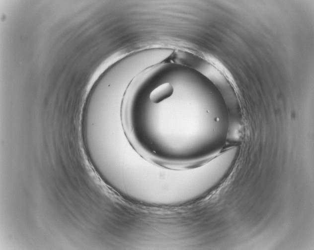 X0000087681138200705251637