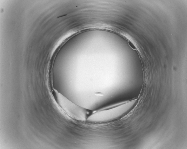 X0000087681139200705251637